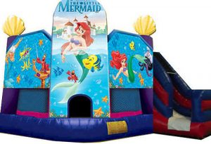 Little Mermaid Combo Slide Little Mermaid Combo Slide